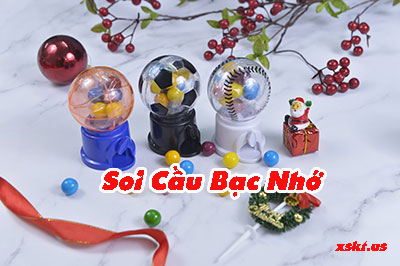 Soi-cau-bac-nho-hien-dai